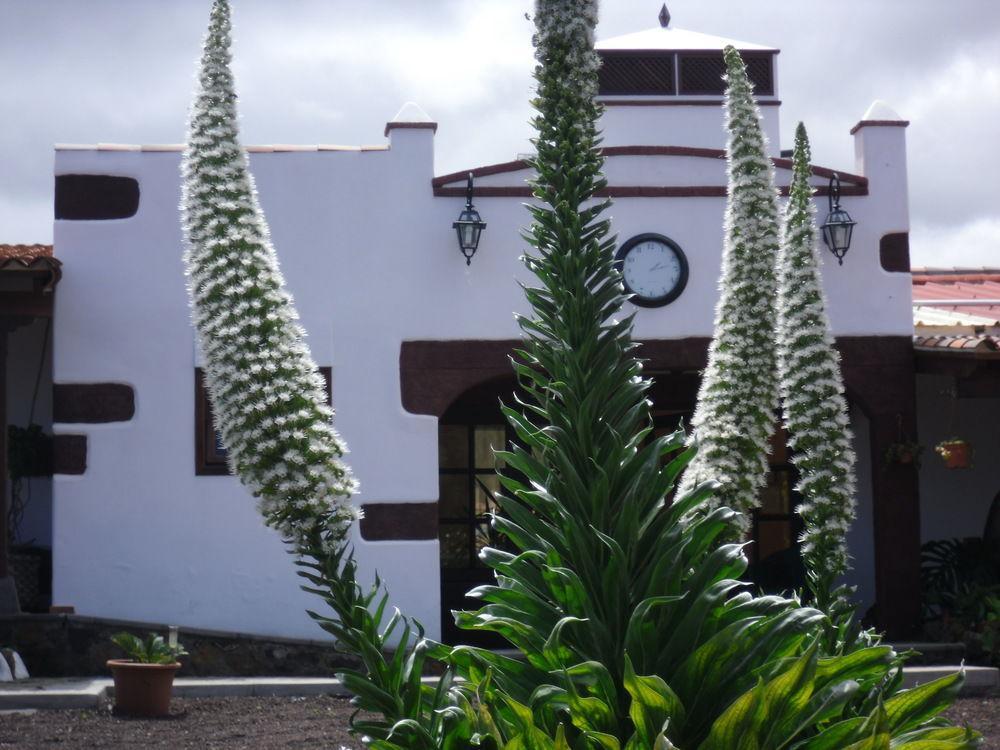 Hotel Finca El Picacho Valle de Guerra Exterior foto